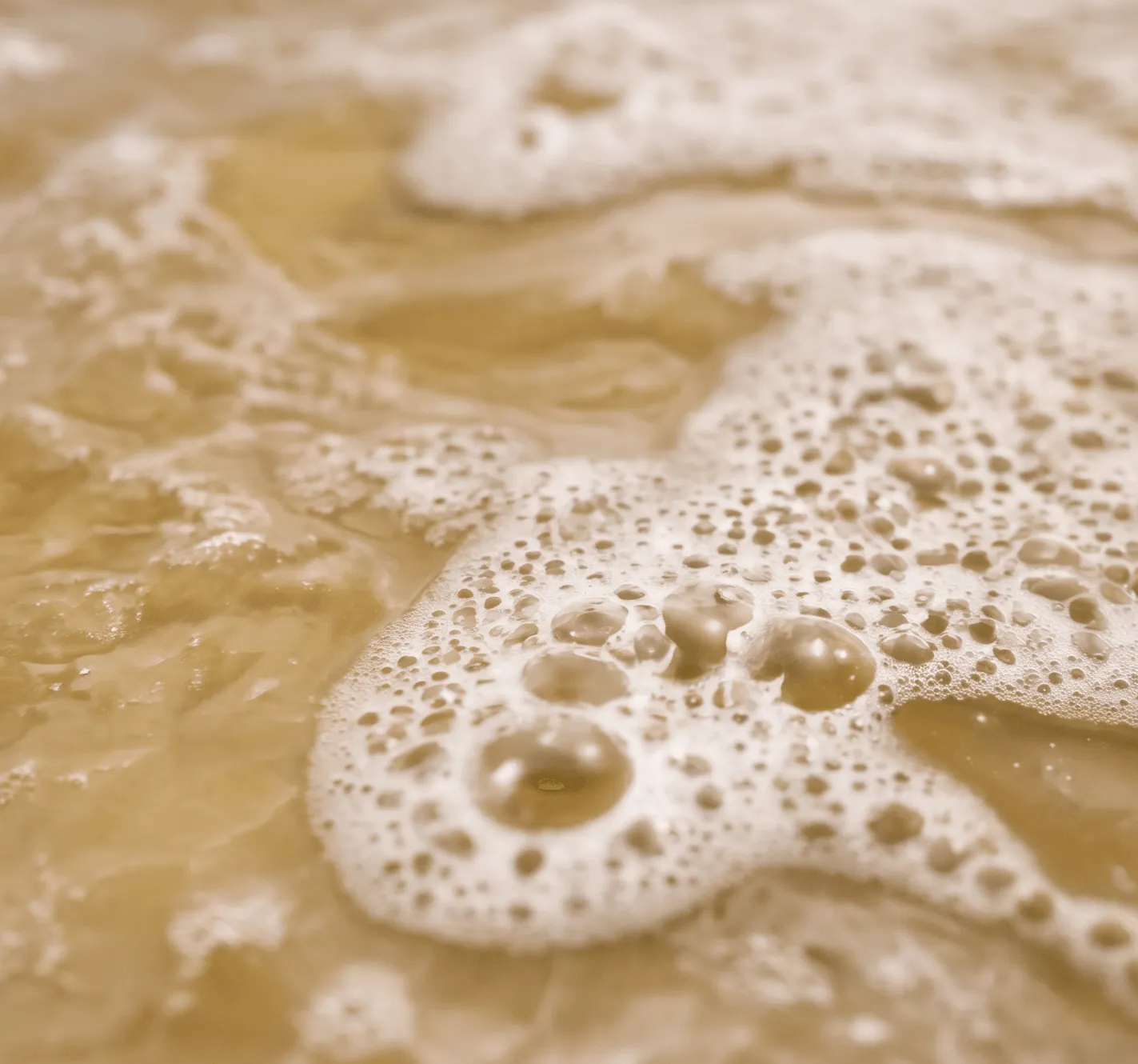 Organic Residues background