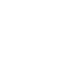 Organic Leaf Icon